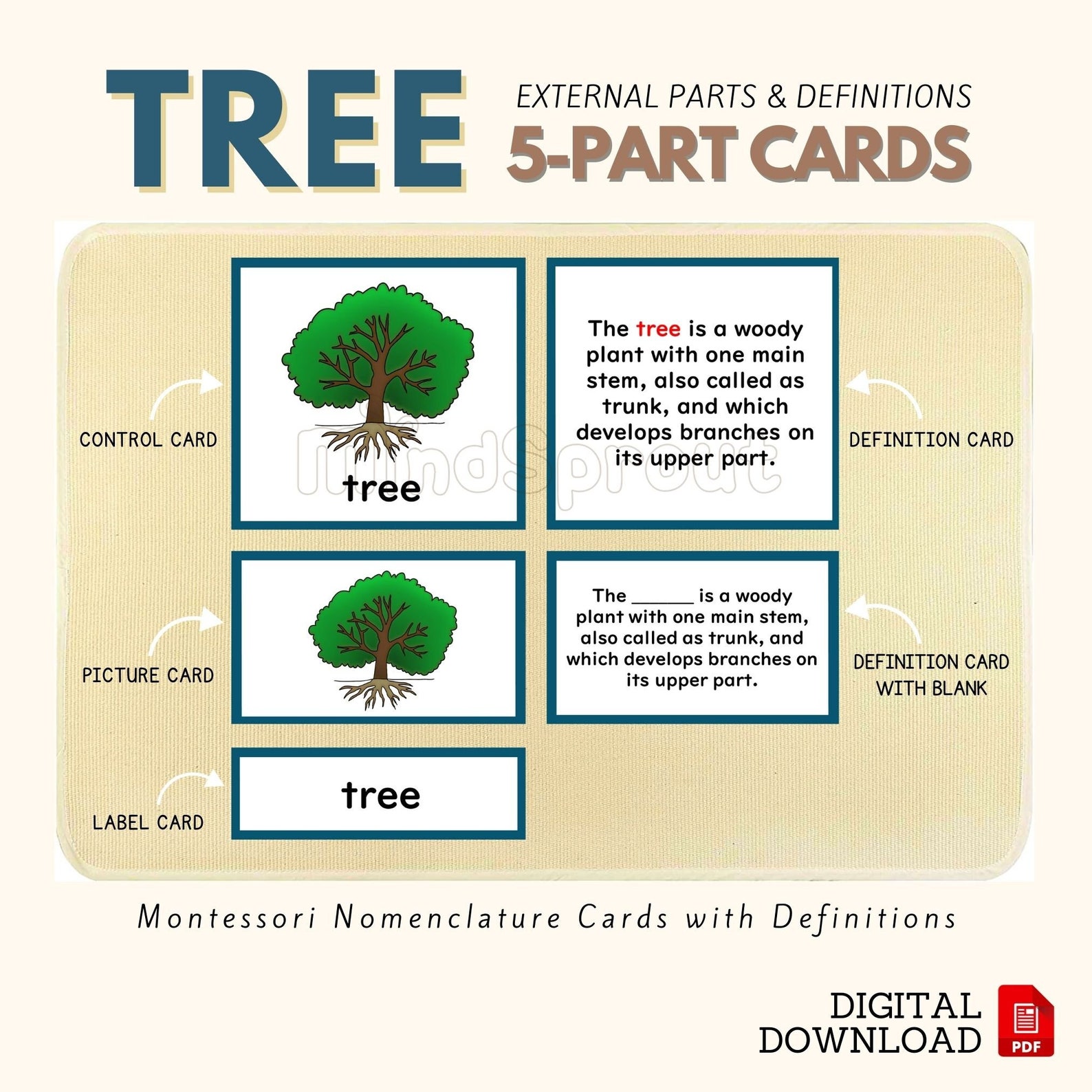 Parts of the TREE Montessori Botany Unit Study 5part Card Definition