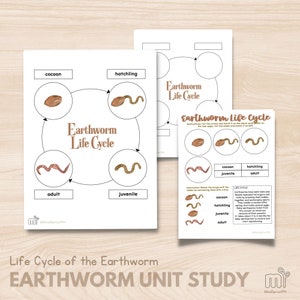 May include: Educational printables showing the life cycle of an earthworm. The main chart illustrates the stages: cocoon, hatchling, juvenile, and adult. Additional worksheets provide matching activities. The title reads "Earthworm Unit Study."