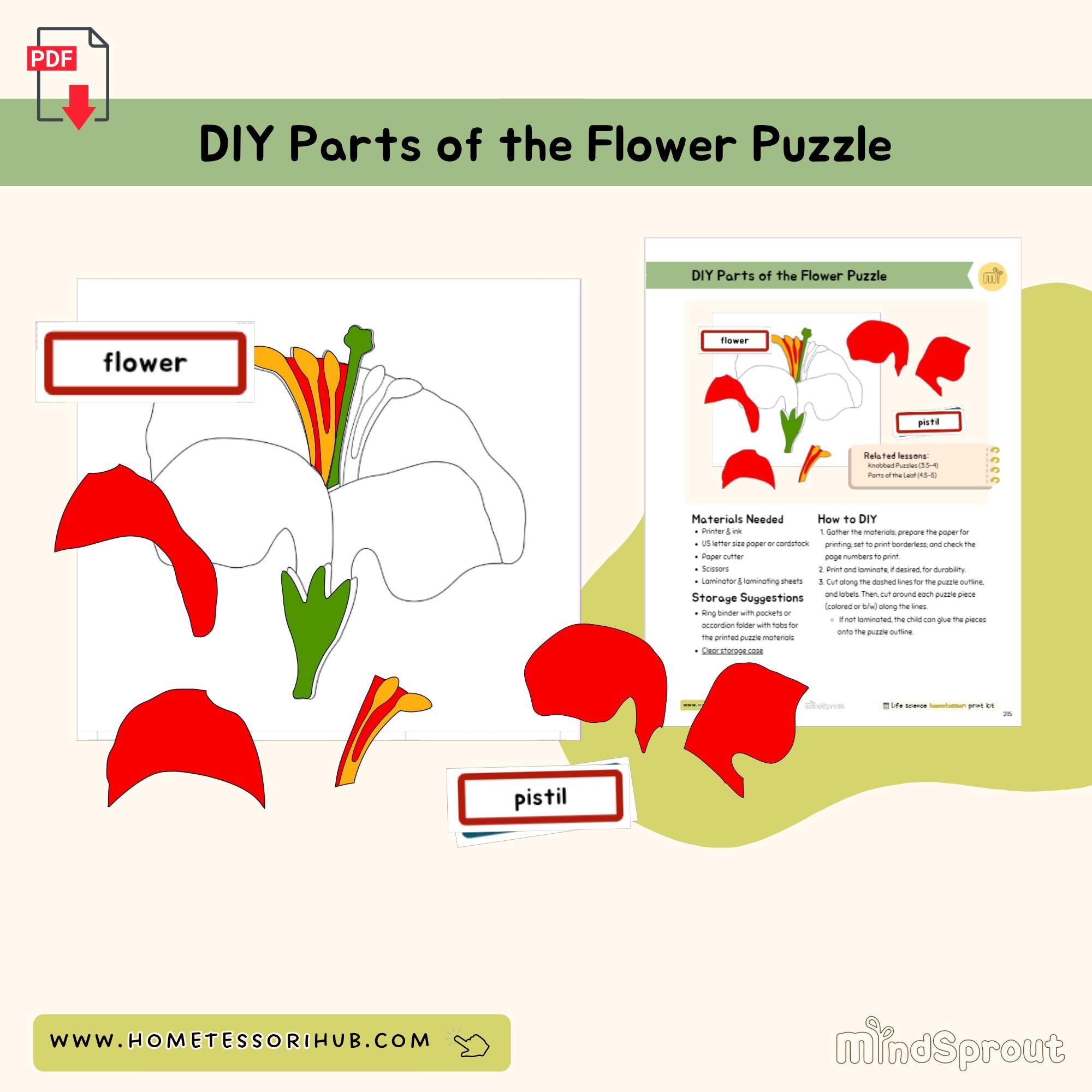 DIY Parts of the Flower Puzzle Botany Montessori Printable Material - Etsy