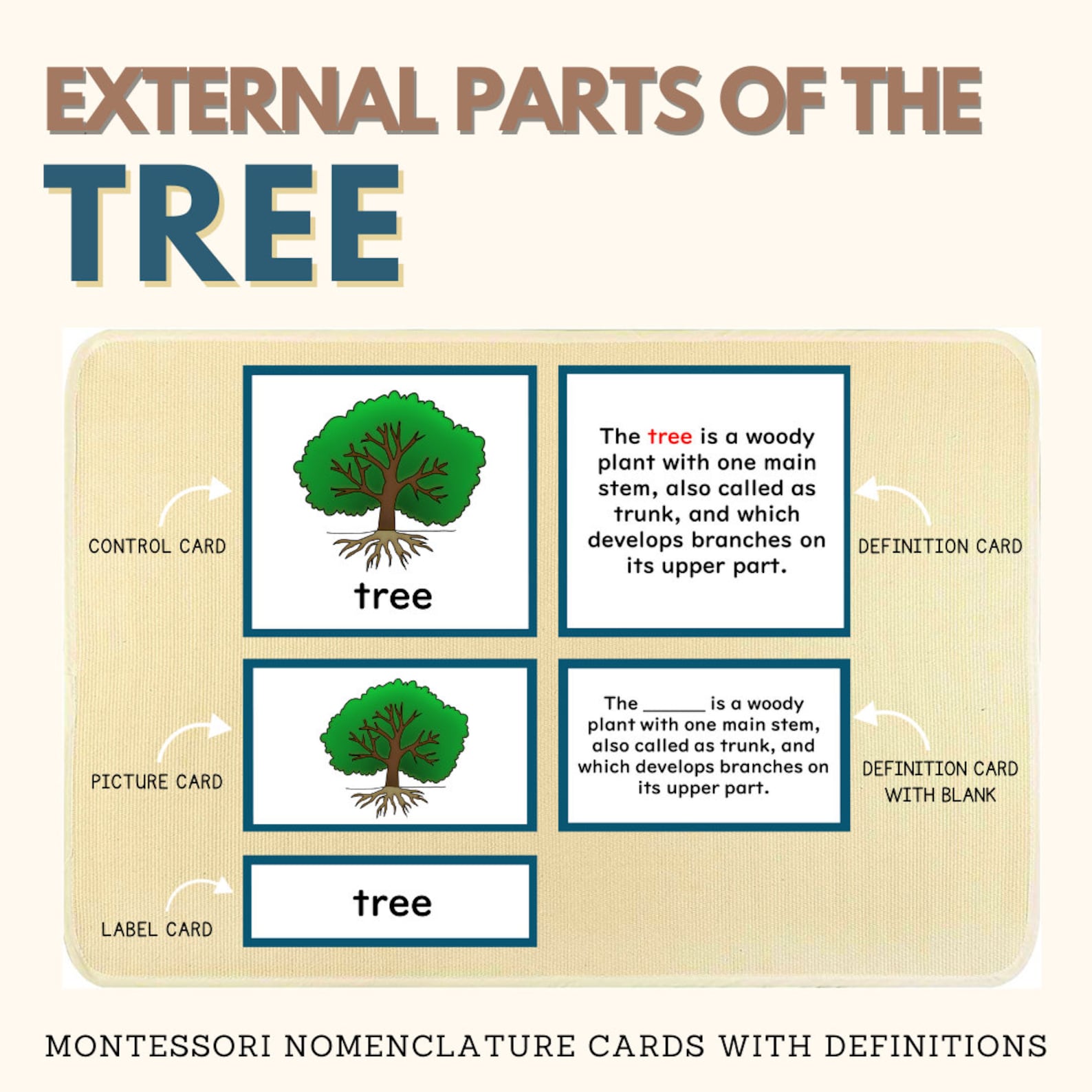 Parts of the TREE Montessori Botany Unit Study 5-part Card Definition ...