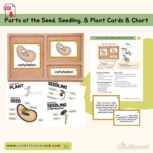 Parts of the Seed, Seedling, Plant Cards, Chart & Booklets Botany Montessori Printable Material