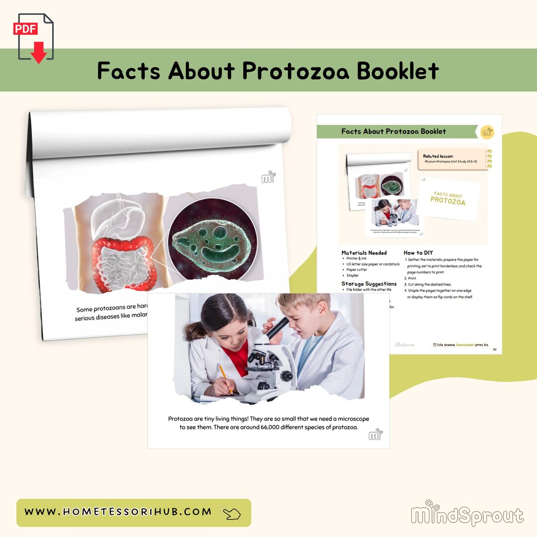 Facts About Protozoa Booklet Miscellaneous Montessori Printable ...