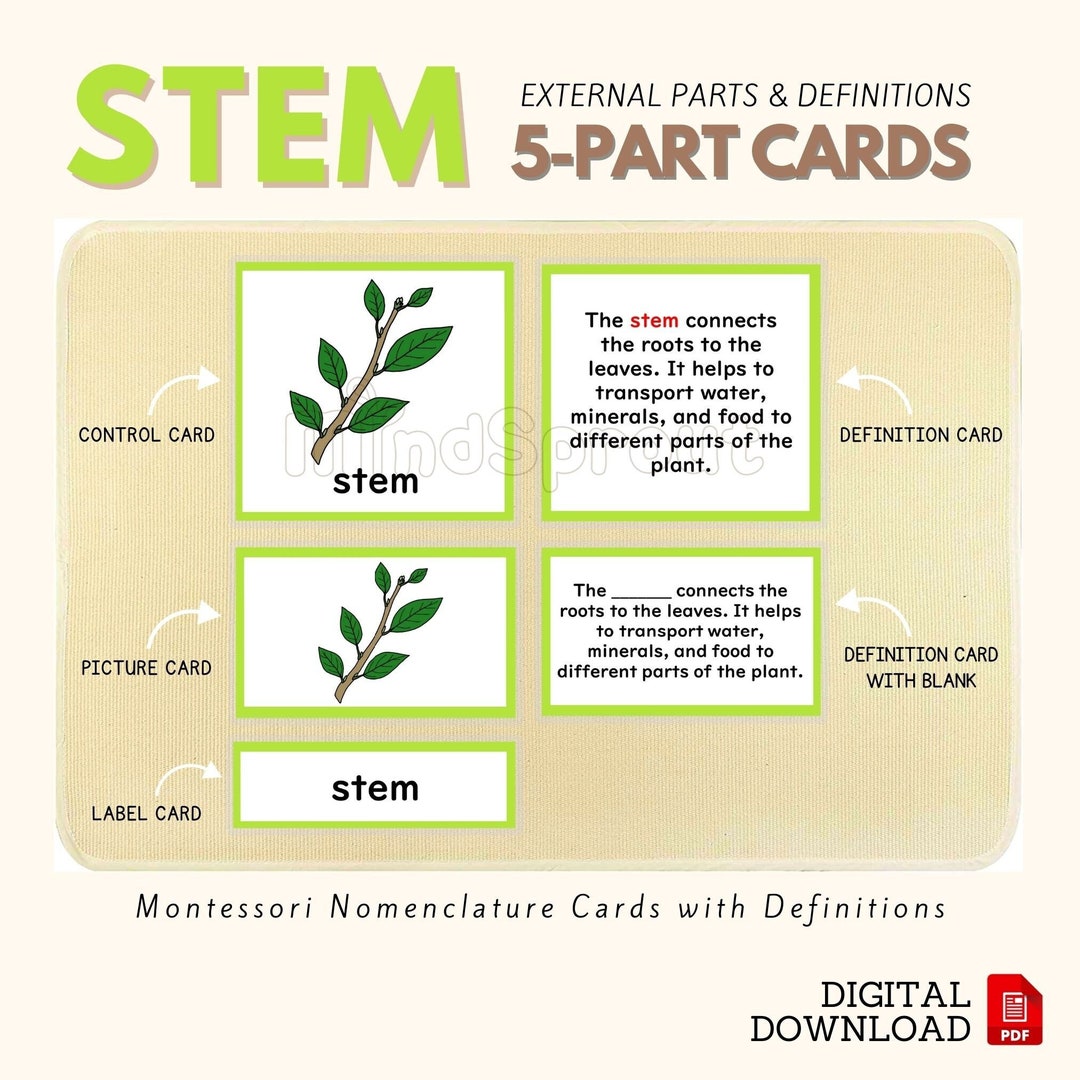 Parts of the STEM Montessori Botany Unit Study 5part Card Definition