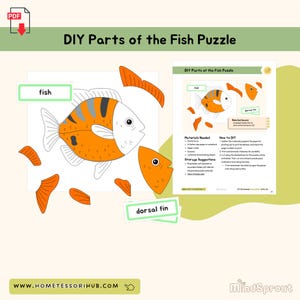 以下が含まれることがあります： 子供向けの印刷可能なDIY魚のパズル。パズルには、オレンジ、白、黒のストライプのカラフルな魚と、別々のカードに「魚」と「背びれ」の文字が含まれています。