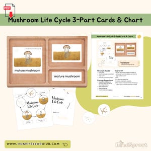 Mushroom Life Cycle 3-Part Cards & Chart Miscellaneous Montessori Printable Material