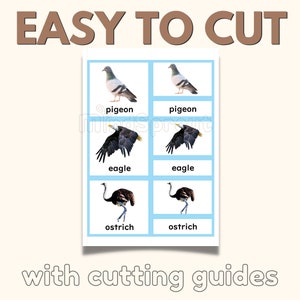 May include: A printable sheet with six images of birds: a pigeon, an eagle, and an ostrich. Each image is labeled with the bird's name. The sheet is titled "EASY TO CUT" and "with cutting guides".