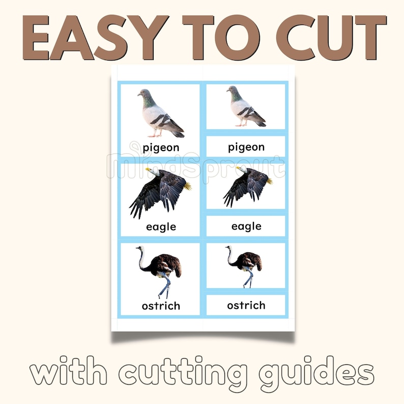 May include: A printable sheet with six images of birds: a pigeon, an eagle, and an ostrich. Each image is labeled with the bird's name. The sheet is titled "EASY TO CUT" and "with cutting guides".