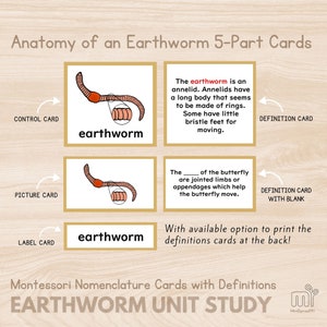 Earthworm Unit Study Montessori 5 Part Card Anatomy Earthworm Life Cycle Facts Research for Elementary Student Writing Prompts, Printable