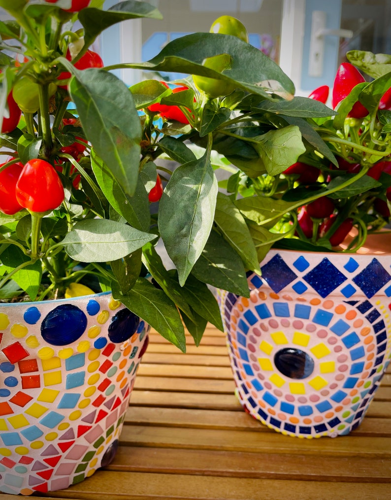 Flower Pot, Make Your Own DIY or Order Ready Made MBM, 3 Sizes, Mosaic