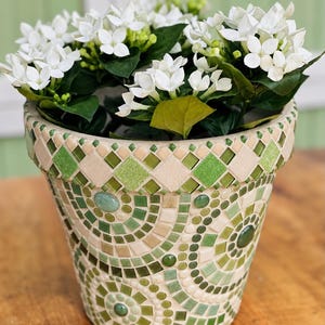 May include: A flower pot decorated with a mosaic pattern of green and beige tiles, featuring circular designs and embedded glass stones. The pot contains a plant with dark green leaves and clusters of small, white, four-petaled flowers.