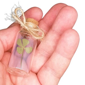 trèfle à 4 feuilles, cadeau, porte-bonheur et amulette, chance, saint valentin, cadeau personnalisé, amulette, fiole, anniversaire, hasard image 10