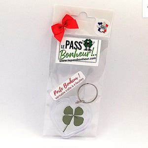 Key ring, real four-leaf clover, gift, lucky charm, accessory, amulet, chance, luck, clover, amulet, key ring