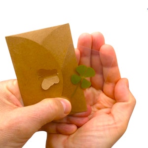 Trèfle 4 feuilles, véritable trèfle à 4 feuilles, Amulette, Porte-Bonheur, Anniversaire, Mariage, Saint Valentin, véritable,
