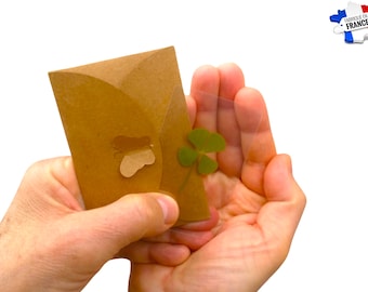 4 Leaf Clover, Real 4 Leaf Clover, Amulet, Lucky Charm, Birthday, Wedding, Valentine&#39;s Day, Genuine,