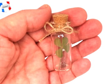 4-leaf clover, gift, lucky charm and amulet, luck, Valentine's Day, personalized gift, amulet, vial, birthday, chance