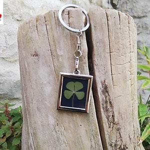 Silver-colored metal rectangular key ring, with a real dried 4-leaf clover, a universal lucky charm of luck and prosperity.