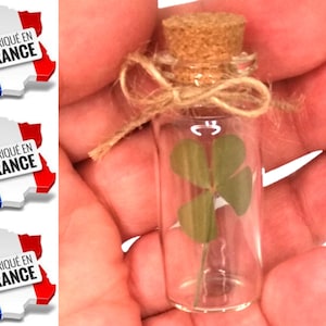Lucky charm, four-leaf clover, luck, happiness, gift, vial, amulet, chance, birthday, personalized gift, protection