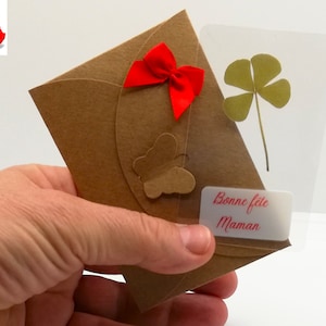 Bijou Trèfle Porte-Bonheur, Cadeau Fête des Mères, Talisman Chance Format Carte Bancaire  Idée Émotionnelle pour Maman