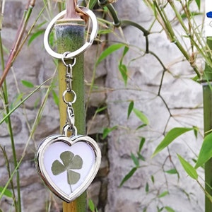 Keychain, four leaf clover, amulet, lucky charm, lucky charm, gift, party, key ring, luck, 4 leaf clover, chance