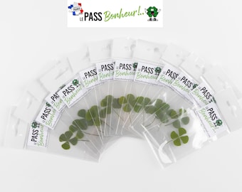 Genuine 4 Leaf Clover, Lucky Talisman, Bank Card Size, Unique Good Luck Charm | Emotional and Lasting Gift