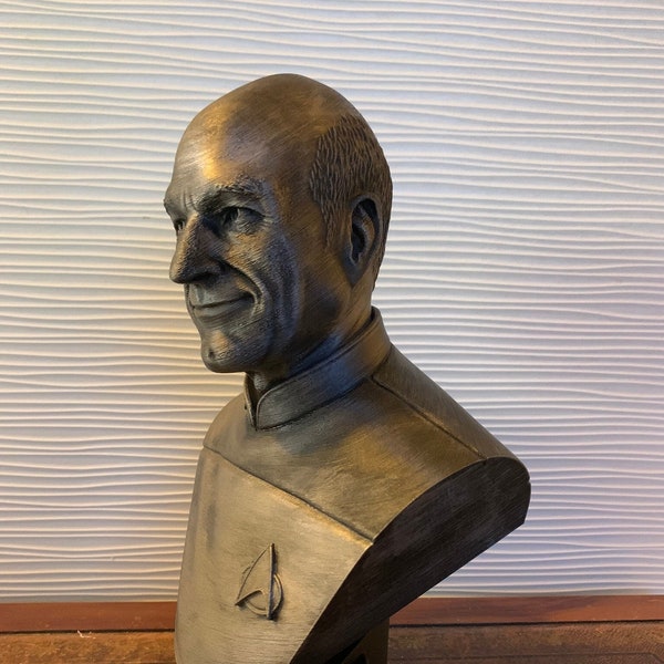 Fan Art Capitaine Jean Luc Picard - Buste 3D - Fan Art