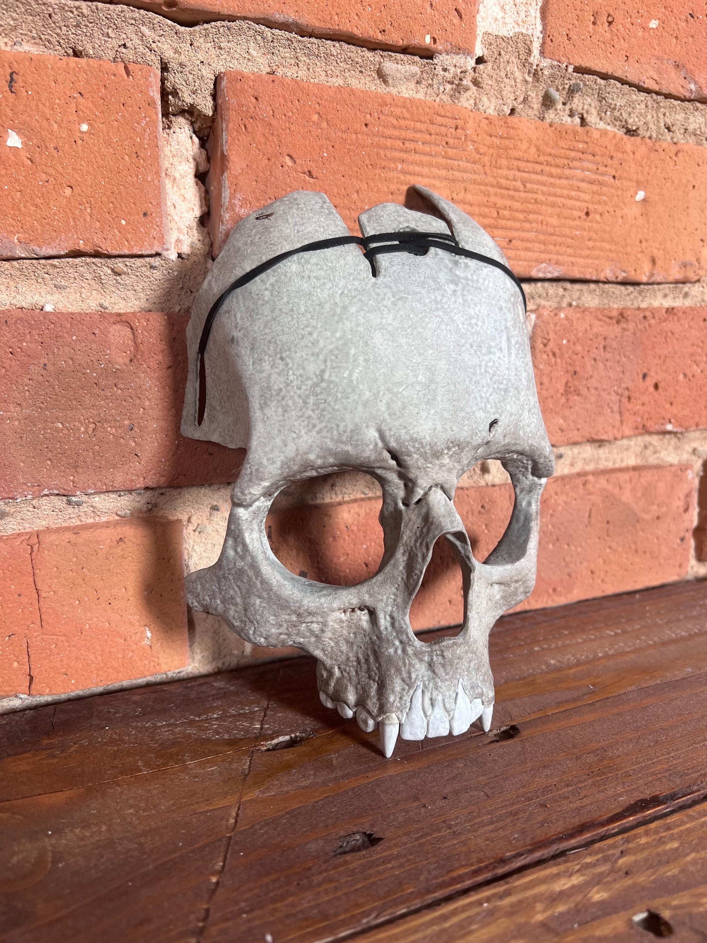 Sniper 3d assassin スカルコイン (97) 사진