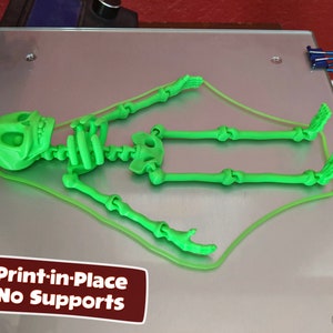 May include: A green plastic skeleton model printed in place with no supports. The skeleton is lying on a silver surface. The text "Print-in-Place No Supports" is visible in the lower left corner of the image.