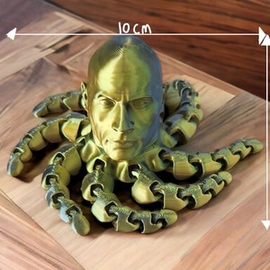 Picture of a rocktopus that is a combinationof the rock and a octopus tentacles and is combines to make a fun fidget toy