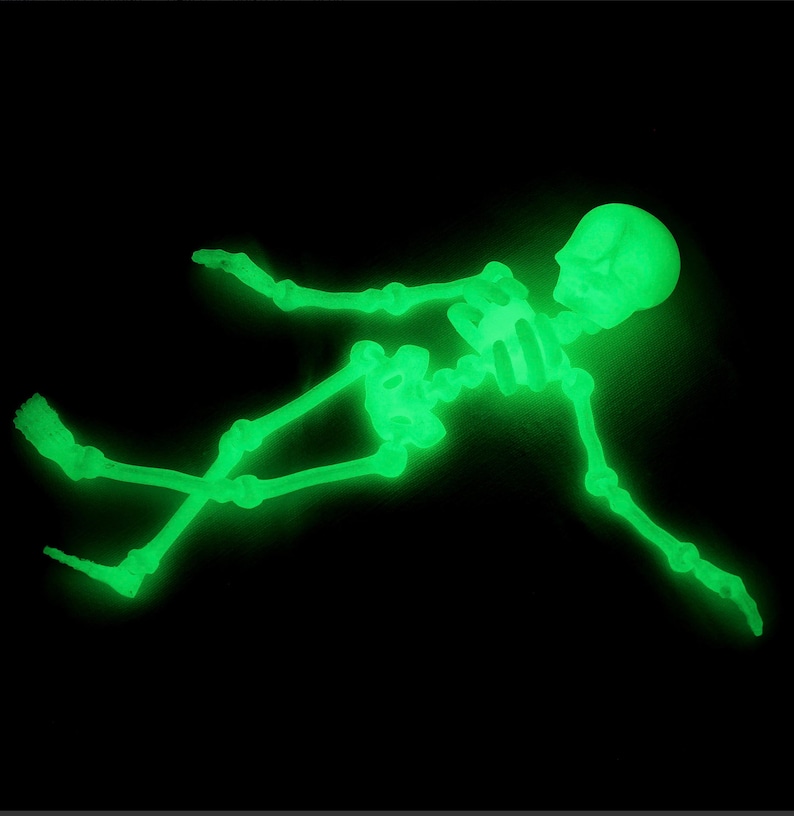 May include: A glow-in-the-dark skeleton toy in a lying down position. The skeleton is made of plastic and is a bright green color.