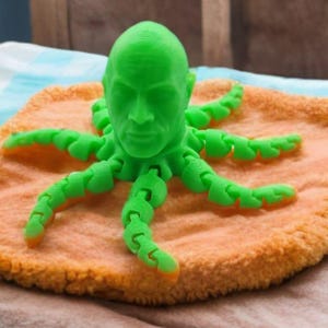 Rocktopus Fidget Toy: 3D-geprint Dwayne Johnson Octopus-bureaudecor afbeelding 12