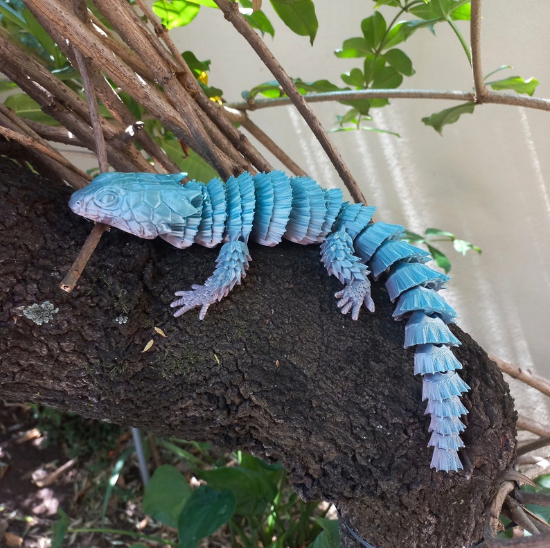 May include: A blue and gray lizard with a scaly, segmented body, perched on a tree branch. The lizard's tail is long and curled.