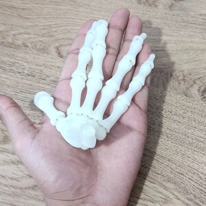 May include: A white plastic model of a human hand skeleton. The model is detailed and shows the bones of the hand, including the carpals, metacarpals, and phalanges.