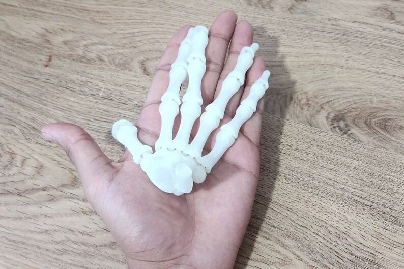 May include: A white plastic model of a human hand skeleton. The model is detailed and shows the bones of the hand, including the carpals, metacarpals, and phalanges.