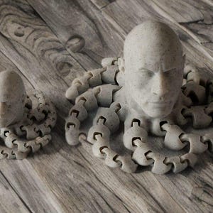 Rocktopus Fidget Toy: 3D-geprint Dwayne Johnson Octopus-bureaudecor afbeelding 20