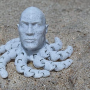 Rocktopus Fidget Toy: 3D-geprint Dwayne Johnson Octopus-bureaudecor afbeelding 13
