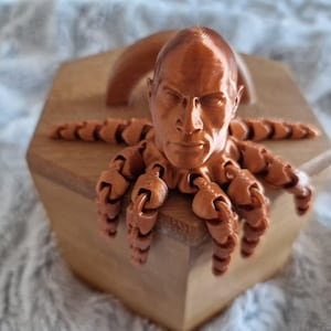 Rocktopus Fidget Toy: 3D-geprint Dwayne Johnson Octopus-bureaudecor afbeelding 9