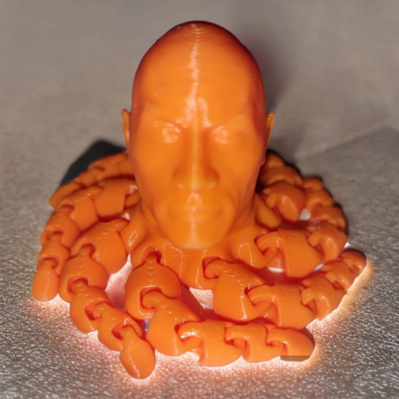Dwayne Johnson Rocktopus Fidget Toy: Mega 3D Printed Flexi Octopus image 12