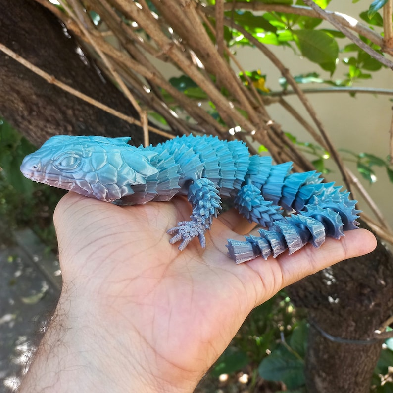 May include: A blue and gray spiny lizard with a spiky tail, held in a person's hand.