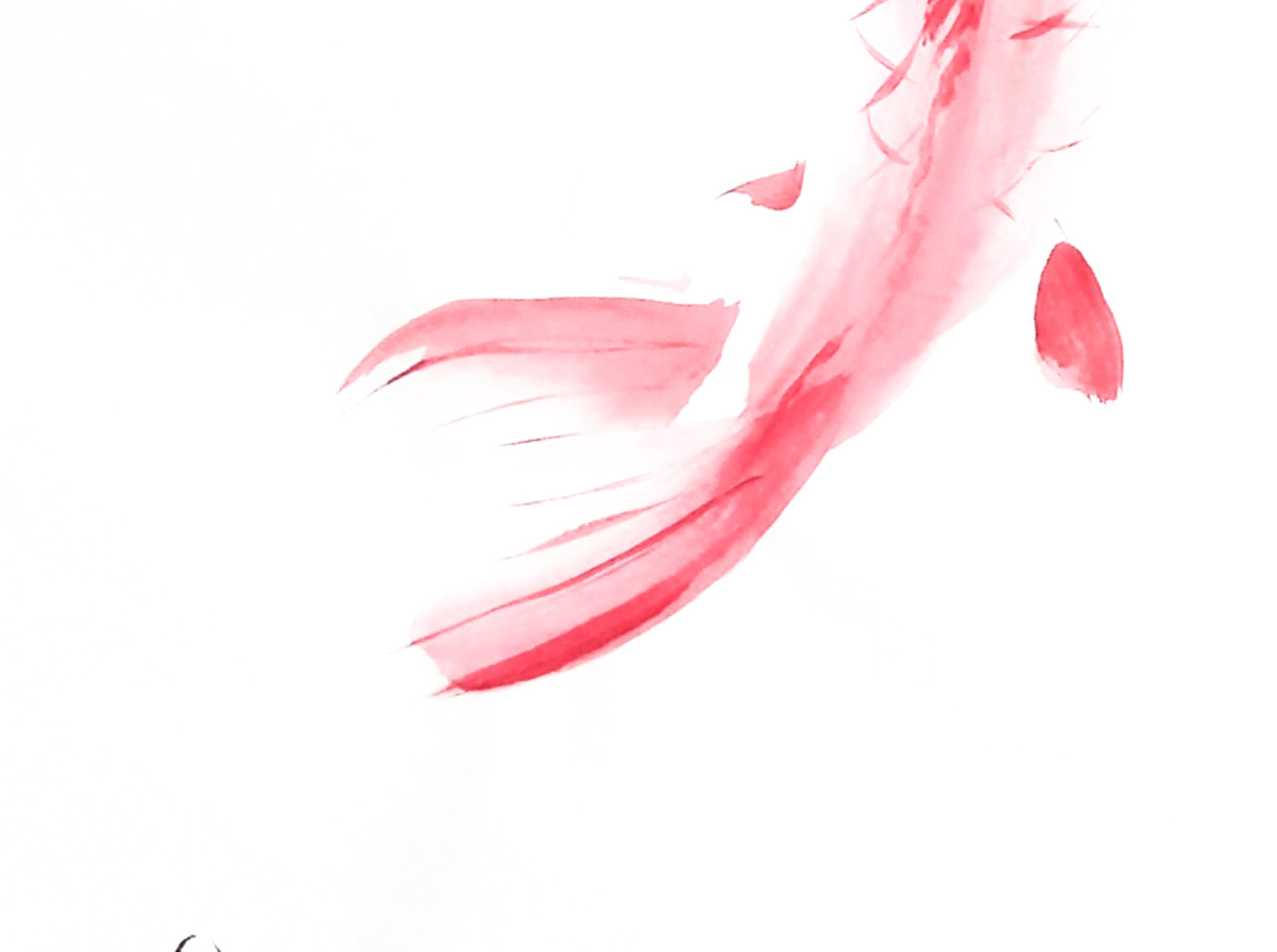 Coy Fish Ink Feng Shui Painting Yin Yang Pair Koi Fish Original Chinese Ink - Etsy