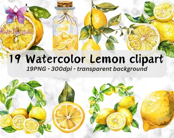 Watercolor Lemon clipart, Lemon PNG Bundle, Lemon Frame Clipart, Floral Clipart, Digital clipart, Citrus Fruit Graphics For Instant Download