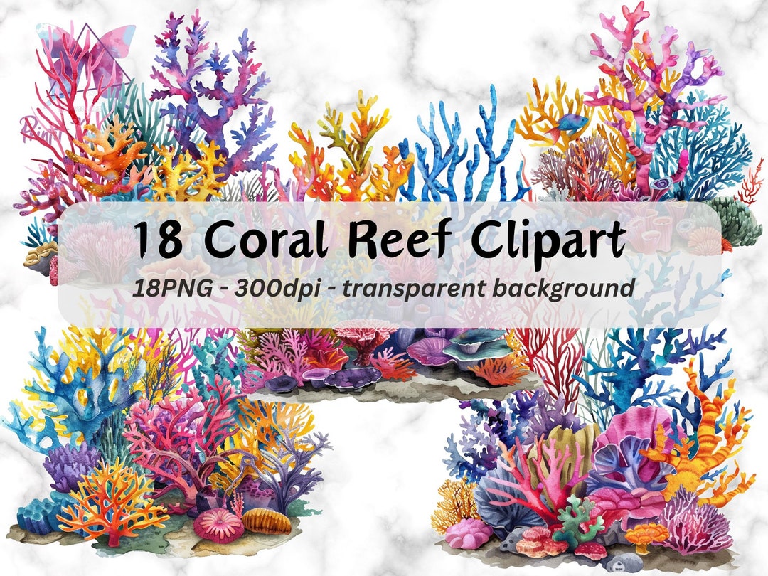 Coral Reef Clipart Coral Reefs Watercolor Clipart Watercolor Tropical Il 1080xN.5976604337 D08x
