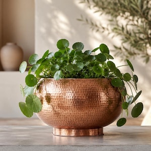 Hand-Hammered Copper Planter Bowl | Moroccan Artisan Indoor Outdoor Plant Pot