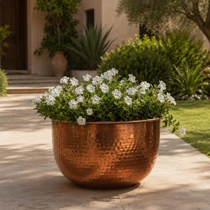 May include: A large, round, hammered copper planter with a metallic finish, filled with a dense cluster of small, white, five-petaled flowers and vibrant green foliage, positioned on a light-coloured stone walkway outdoors.