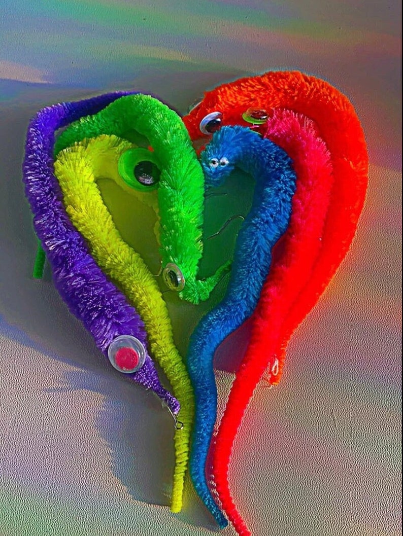 May include: Five colorful fuzzy worm toys arranged in a heart shape. The worms are purple, yellow, green, blue, and orange. Each worm has googly eyes.