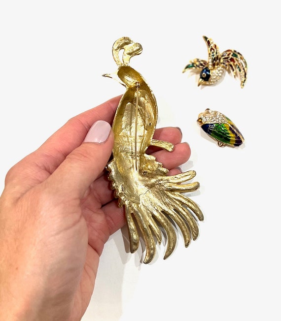 Peacock,Bird, and Beetle Brooch Set Gem