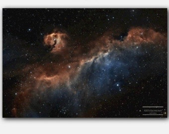 Seagull Nebula by ARTstronomy *CANVAS*