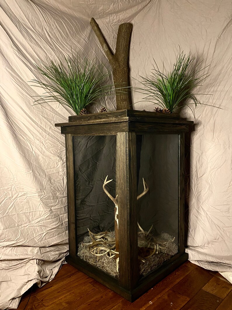 Pedestal Deer Mount Etsy