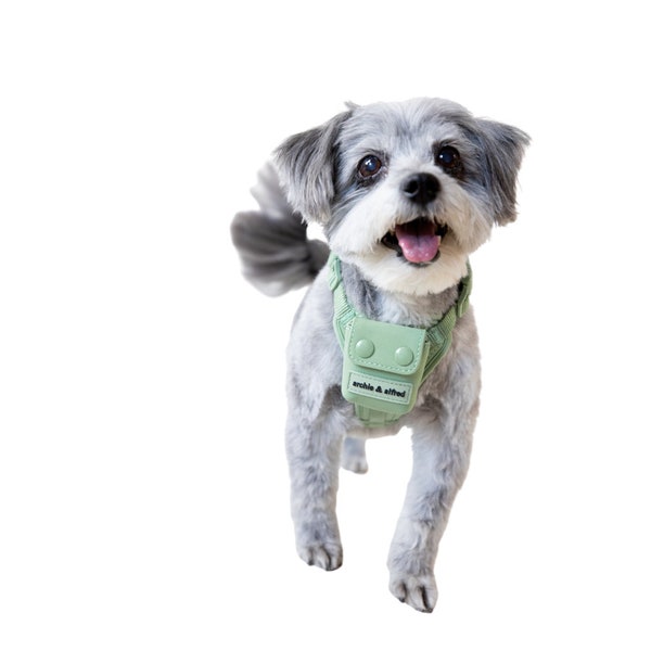 Sage Green Dog Harness Etsy