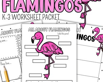All About Flamingos | Animal Research Worksheets & Labeling | Life Science for K–3