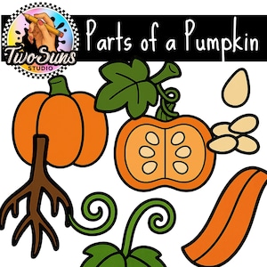 Parts of a Pumpkin Clipart PNG | 8 Cute Pumpkin Illustrations | 3000x3000px Transparent Background | Classroom Clipart | Commercial Use OK